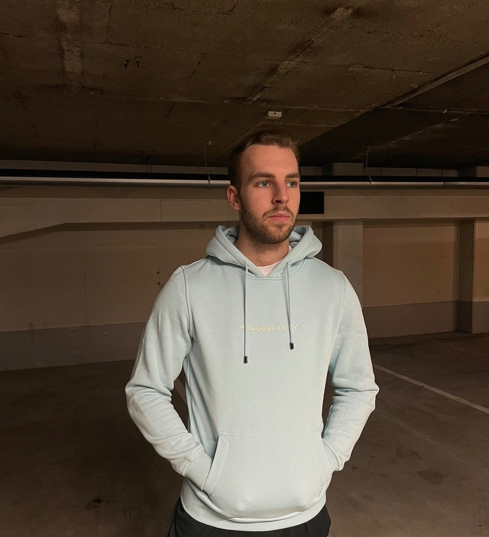 Embroidered Hoodie Light Blue